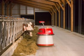 V dojivosti mléka patří Česko ke světové špičce, chovatelé častěji investují do automatizace a robotizace