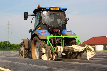 Sklizeň chřestu trvá do konce června. Tady traktor pomáhá s pokládáním plachty.