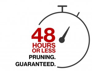 Servis a opravy: Se službou „48H Pruning Guaranteed“ je možné do 48 hodin opět plně pracovat.