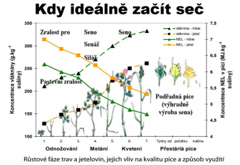 Kdy ideálně začít seč?