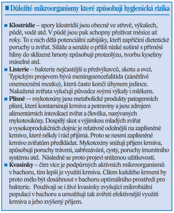 Mikroorganismy a hygienická rizika