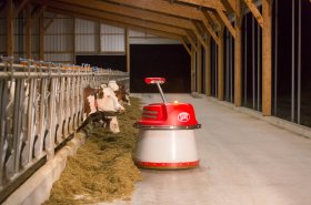 V dojivosti mléka patří Česko ke světové špičce, chovatelé častěji investují do automatizace a robotizace