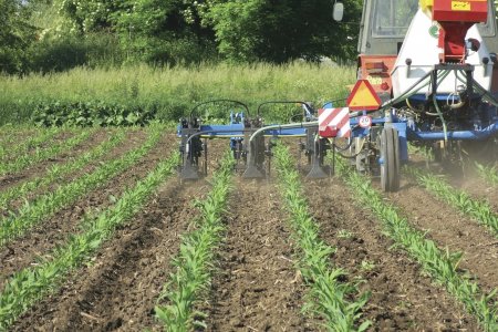 Kultivátor umožňuje provádět řízenou výživu širokořádkových plodin v době vegetace a podsev do meziřádků