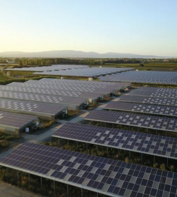 Výhodou agrivoltaiky je, že solární panely vůbec nezabírají zemědělskou ornou půdu a umístění solárních panelů nad zemědělskou produkci umožňuje využití půdy hned dvakrát