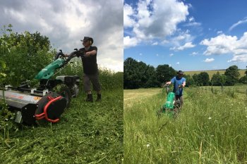 Při mulčování a sečení vzrostlé trávy na květinové farmě, zdroj foto - Pavel Měska 