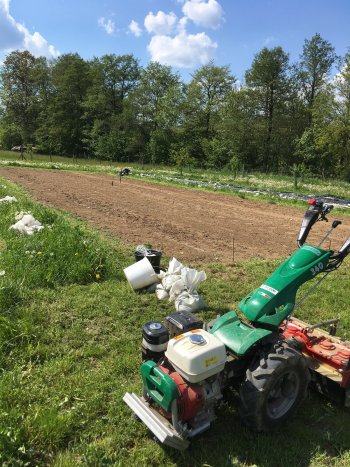 Na biofarmě u Měsky se malotraktor bez problémů vejde do fóliovníků, v nichž zastane úpravu záhonů, využíván je však i ve venkovních prostorách k dalšímu udržování květinových záhonů, zdroj foto - Pavel Měska 