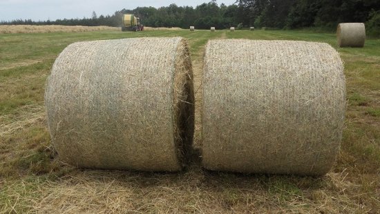 Srovnání lisování sena síťovinou XXX šíře 125 cm (vlevo) a klasickou standartní sítí JUTA Master (vpravo). Zdroj foto - tisková zpráva JUTA