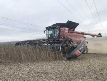 V současné době provozuje Lukáš Král čtyři adaptéry MacDon ve spojení se sklízecími mlátičkami Case IH Axial-Flow. Zdroj foto - Roman Nedoma