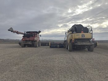 Podle zkušeností obou majitelů je MacDon díky mechanickému kopírování schopen na poli zanechat nízké strniště a neponechat tam ani zrnko. Zdroj foto - Roman Nedoma