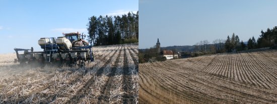 Setí Kinze u obce Putim do pásů zpracované půdy technologií Strip Till. Zdroj foto - tisková zpráva P&L