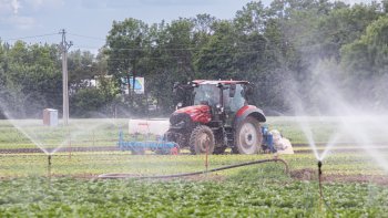 Case IH Vestrum většinou sází a plečkuje. Zdroj foto - Martina Králiková