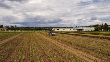 Farma Ráječek pěstuje zeleninu zodpovědně a šetrně k přírodě. Díky přesnému plečkování vůbec nepoužívají herbicidy. Zdroj foto - Martina Králiková