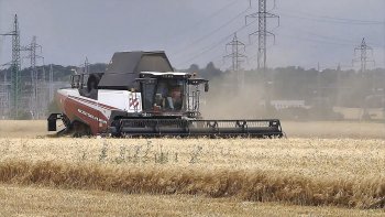 Sklízecí mlátička RSM 161 osazená žacím stolem Power Stream 900. Zdroj foto - tisková zpráva Rostselmash 