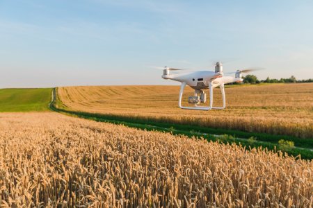Dron může posloužit i ke snímání porostu a zvířat.  Foto: Patrik Zámečník