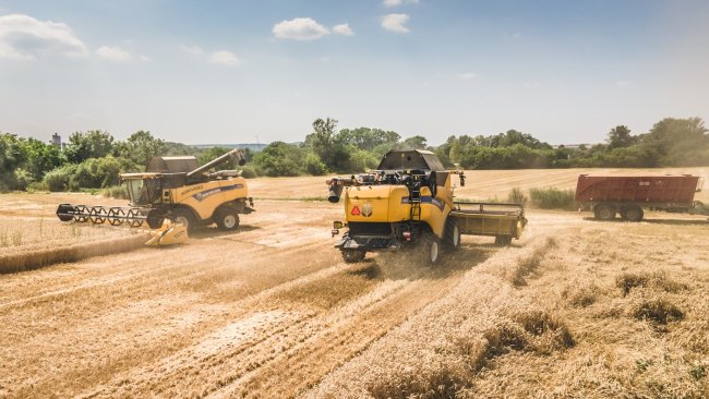 Dvě sklízecí mlátičky New Holland CX 8.80 Elevation v akci v okolí Brna.  Zdroj foto - Michal Doskočil