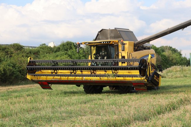 New Holland CX 8.80 při sklizni řepky u Brna.  Zdroj foto - Milan Jedlička