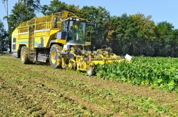 Na veletrhu Agritechnica v Hannoveru představil Ropa dvě novinky, které automaticky upravují hloubku vyorávání pro model Ropa Tiger 6S. Ty byly také implementovány do nového modelu Ropa Panther 2S.