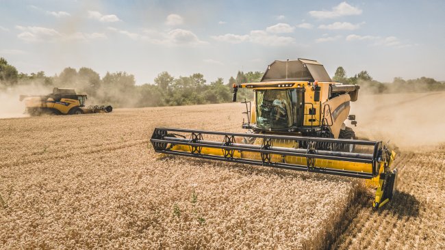 Na jižní Moravě bylo opravdu krásně. Práce s těmito žlutými bezporuchovými stroji New Holland CX 8.80 šla „jako po másle“. Autor foto: Michal Doskočil