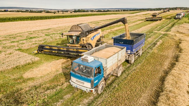 Podsev není oblíbený nejspíš u nikoho. Bohužel i takové plodiny s podsevem se musí sklidit a pokud máte dobrý stroj, není se čeho obávat. Autor foto: Michal Doskočil