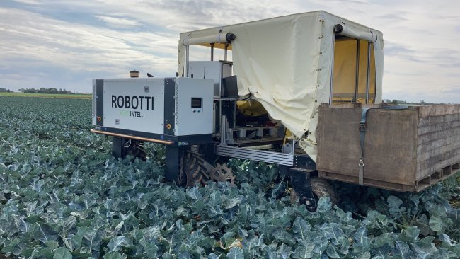 RoboVeg Robotti - Agro Intelligence.