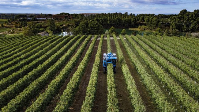 Nový sklízeč New Holland Braud 11.90 X Multi pro sklizeň ovoce v sadech s vysokou hustotou stromů.