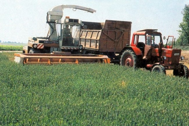 Řezačka Agrostroj SPS-35 TORON během předvádění na Státní farmě Paks v Maďarsku v roce 1985.