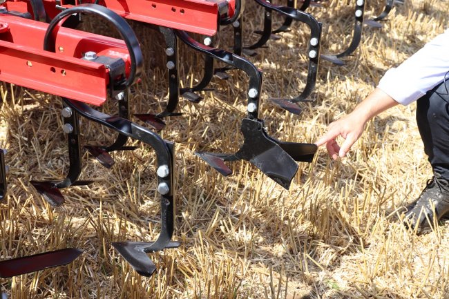 Kypřič Horsch Transformer VF je v závislosti na šířce řádku mezi rostlinami možné osadit různými druhy radliček, které jsou dostupné i s odolnějším karbidovým povlakem.