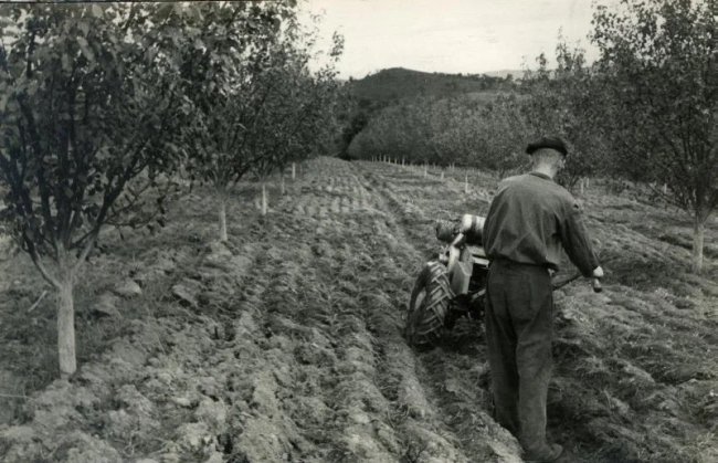Orba s motorobotem SOT – 50. léta 20. století.