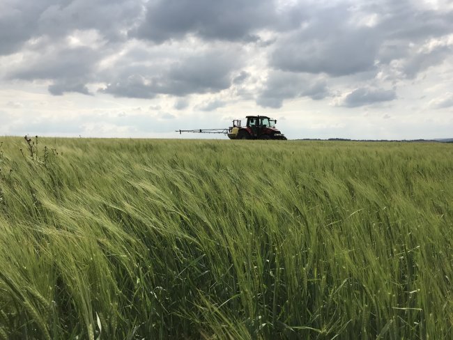 Traktory Case IH Farmall se v podniku uplatňují v agregaci s neseným postřikovačem.