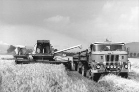 IFA W50 vznikla jako reakce na mizerné podmínky v zemědělské dopravě. Závod opustilo přes půl milionu vozidel