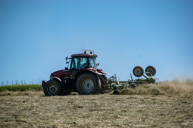 Posečenou píci na farmě obrací šestirotorový a novější osmirotorový obraceč Krone KW 11.22.