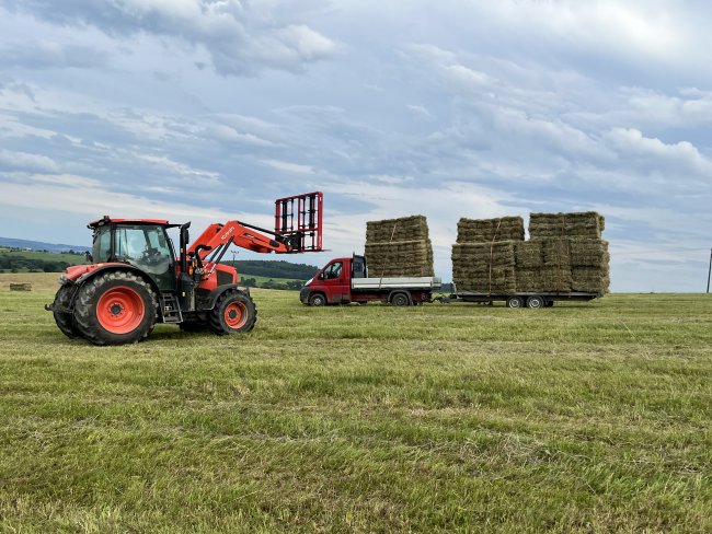 Traktor Kubota M6-142 je na farmě využíván ve spojení s čelním nakladačem, avšak značky Kubota (od výrobce MX).