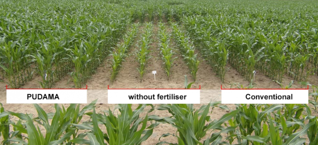 Pokusy v terénu prokázaly, že je možné dosáhnout úspory hnojiva minimálně o 25 % bez snížení výnosu.