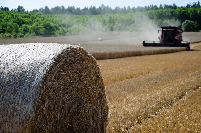 Sklízecí mlátičku Case IH Axial-Flow 6150 si vybral hlavně kvůli specifickému drcení slámy, která má podle něj výborné sací vlastnosti a hodí se tak skvěle jako podestýlka pro dobytek.