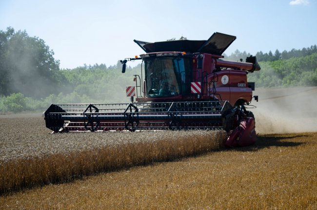 Sklizeň se sklízecí mlátičku Case IH Axial-Flow 6150 je pohodlná i díky Vario liště.