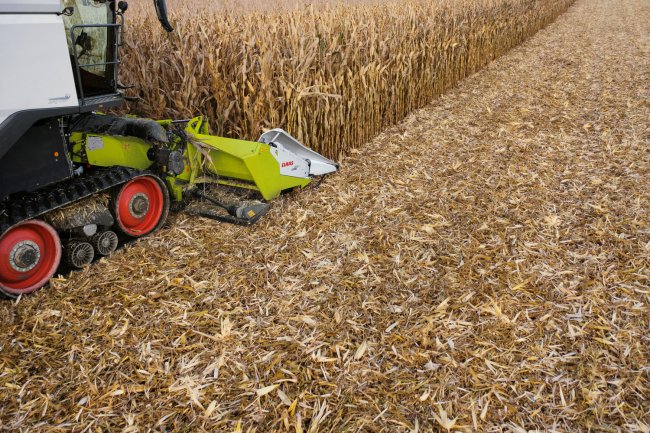 Povrch po přejezdu kukuřičného adaptéru CLAAS CORIO STUBBLE CRACKER.