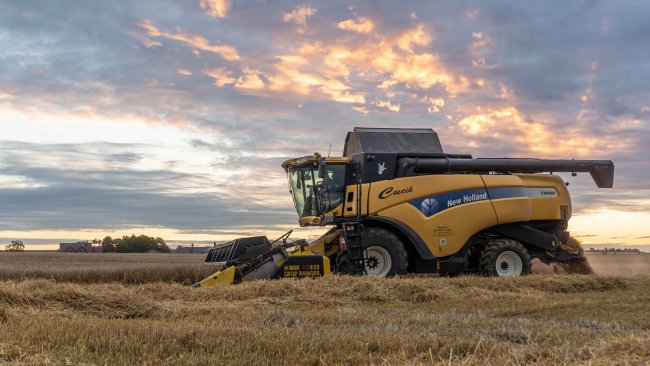 Sklízecí mlátička „CUCÍK“ New Holland CX 8080 s žací lištou BISO VX 850 Crop Ranger.