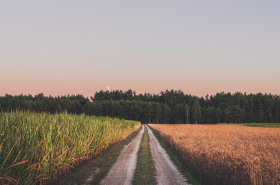 Podpora Ekologického zemědělství přesahuje částku 1,5 miliardy korun