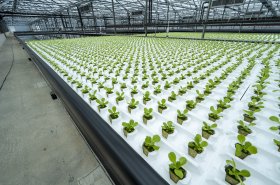 Future Farming vyvinul Aztéckou zahradu s umělým deštěm