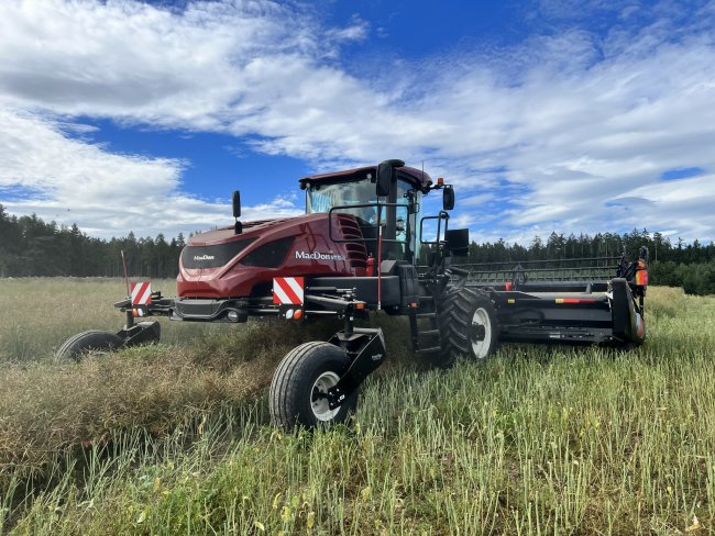 MacDon Windrower se svou technologií dvoufázové sklizně.