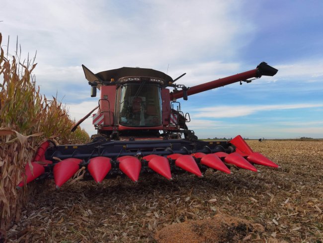 Již k první sklízecí mlátičce Case IH Axial-Flow BV-Technika též dodala osmiřádkový adaptér pro sklizeň CAPELLO DIAMANT.