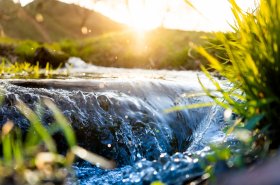 Vědci a vědkyně mohou získat 1 miliardu korun například na výzkum ochrany přírody, nových postupů hospodaření nebo přípravy na klimatickou změnu