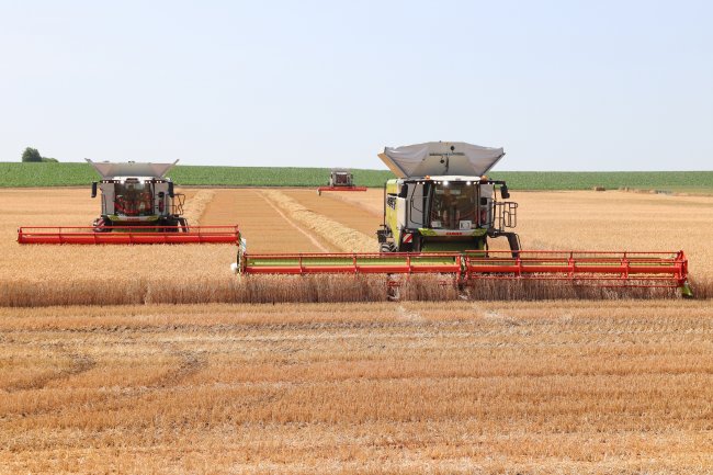 Sklizeň obilí zahájila největší sklízecí mlátička Claas Lexion 8900.