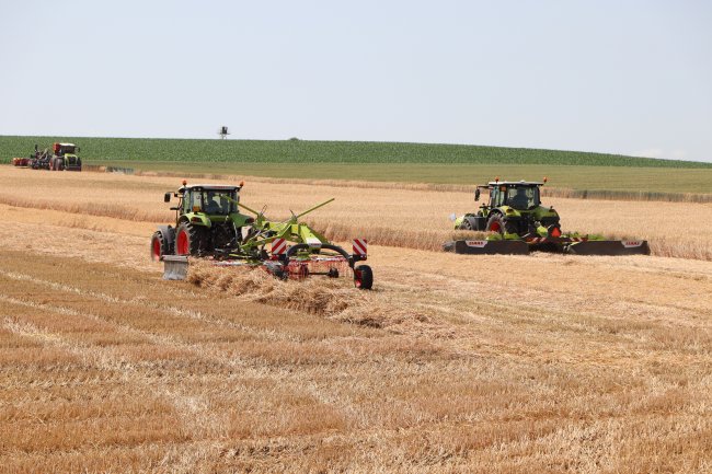 Hmotu do řádků shrnul dvourotorový shrnovač Claas Liner 1700 se stranovým ukládáním řádku.