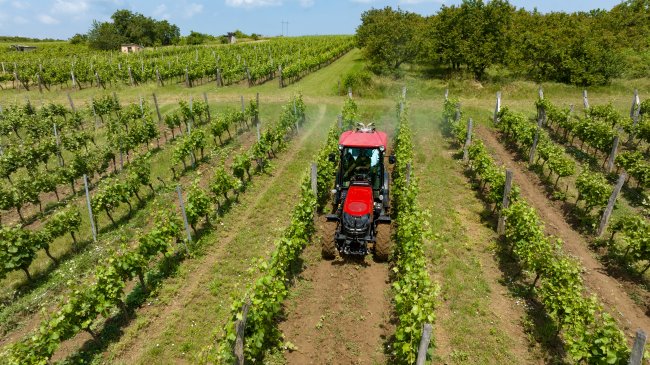 Case IH Quantum 100 F má šířku 1 382 mm, což zcela dostačuje pro provoz ve vinicích. Většina vinic Štěpána Maňáka má rozestup 2,50 metru.