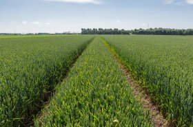 SZIF vydává rozhodnutí z oblasti neprojektových opatření Rozvoje venkova − ANC a NATURA 2000