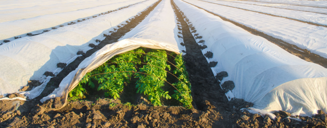 Agrotex nabízí nejrůznější rozměry svých agrotextilií.