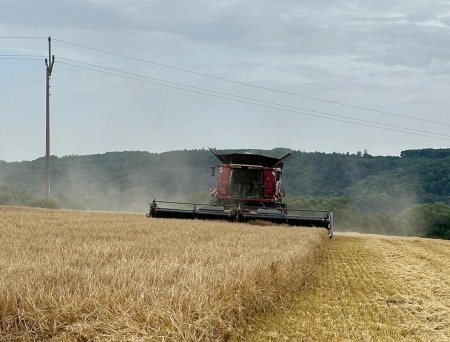 Lišta MacDon FD130 o šířce 9,1 m odvádí dobrou práci.