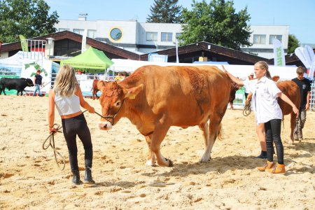 Země živitelka je největší a nejvýznamnější akcí svého druhu a rozsahu, určená pro odbornou i laickou veřejnost