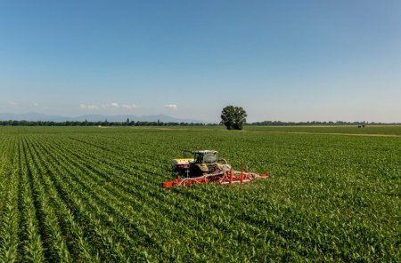 Traktor s meziřádkovým kultivátorem Pöttinger FLEXCARE V provádí mechanickou regulaci plevelů a přihnojování kukuřice přímo v porostu.